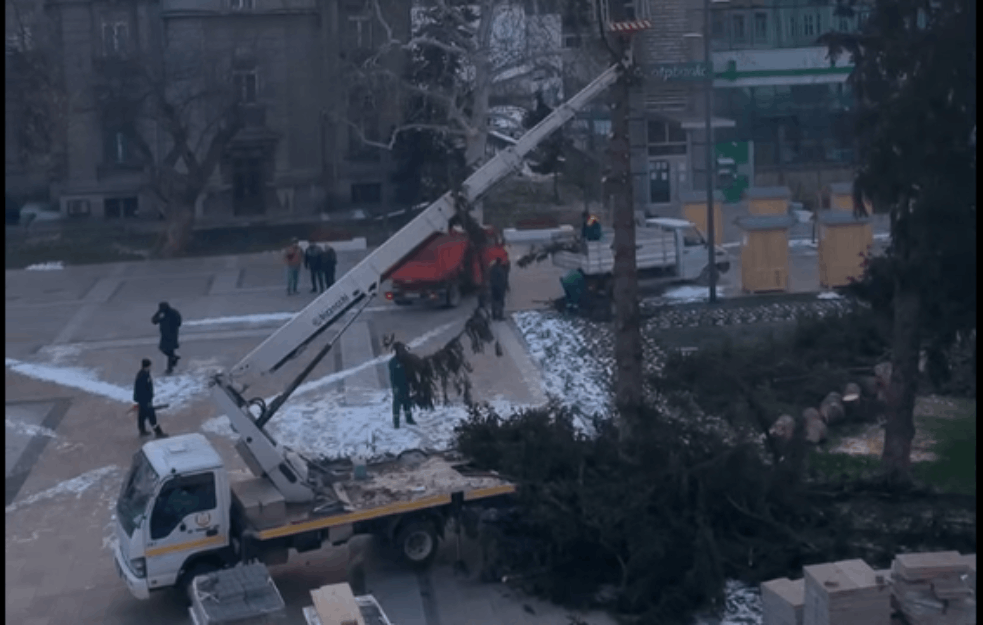 NIŠKI KOMUNALCI POSEKLI DRVEĆE U SRED GRADA: Devojka u suzama  moli da prestanu (VIDEO)